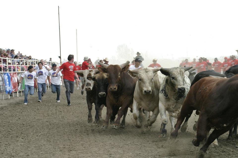 Strathmore Life Insurance Quotes Solutions Financial Solutions